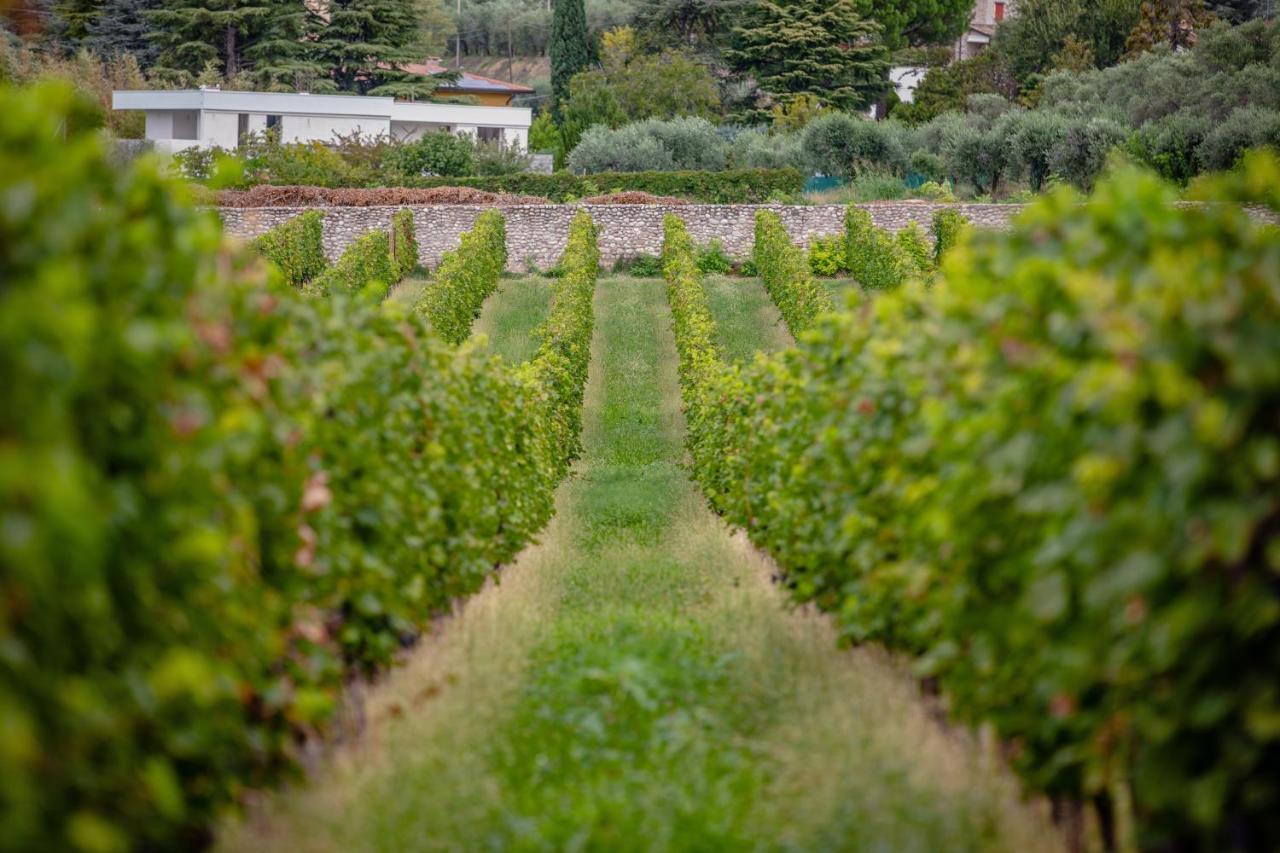 Agriturismo Borgata Levita Μπαρντολίνο Εξωτερικό φωτογραφία